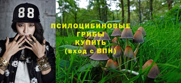 спайс Ветлуга