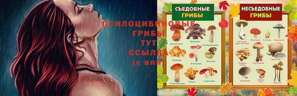 меф Новозыбков