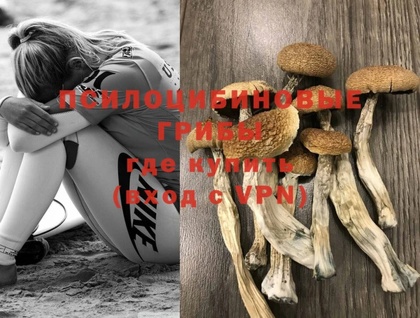 ALPHA-PVP Нягань